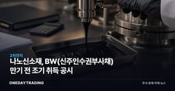 나노신소재, BW(신주인수권부사채) 만기 전 조기 취득 공시