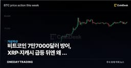 비트코인 7만7000달러 방어, XRP·지캐시 급등 뒤엔 왜 발 뺐나