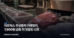 미트박스 무상증자 거래정지, 7,900원 급등 뒤 엇갈린 신호