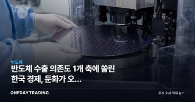 반도체 수출 의존도 1개 축에 쏠린 한국 경제, 둔화가 오면 방산·조선도 시험대