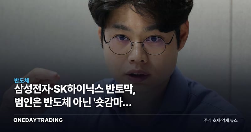 삼성전자·SK하이닉스 반토막, 범인은 반도체 아닌 '숏감마' 연쇄청산