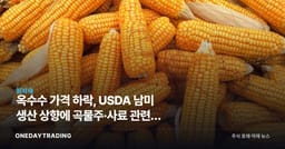 옥수수 가격 하락, USDA 남미 생산 상향에 곡물주·사료 관련주 영향 점검