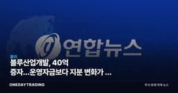 블루산업개발, 40억 증자…운영자금보다 지분 변화가 더 크다