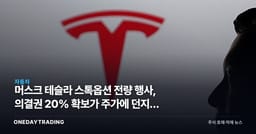 머스크 테슬라 스톡옵션 전량 행사, 의결권 20% 확보가 주가에 던지는 함의