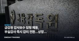금감원 감사보수 덤핑 제동, 부실감사 즉시 감리 전환…상장사 영향은