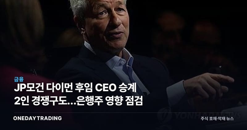 JP모건 다이먼 후임 CEO 승계 2인 경쟁구도…은행주 영향 점검