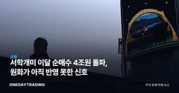 서학개미 이달 순매수 4조원 돌파, 원화가 아직 반영 못한 신호