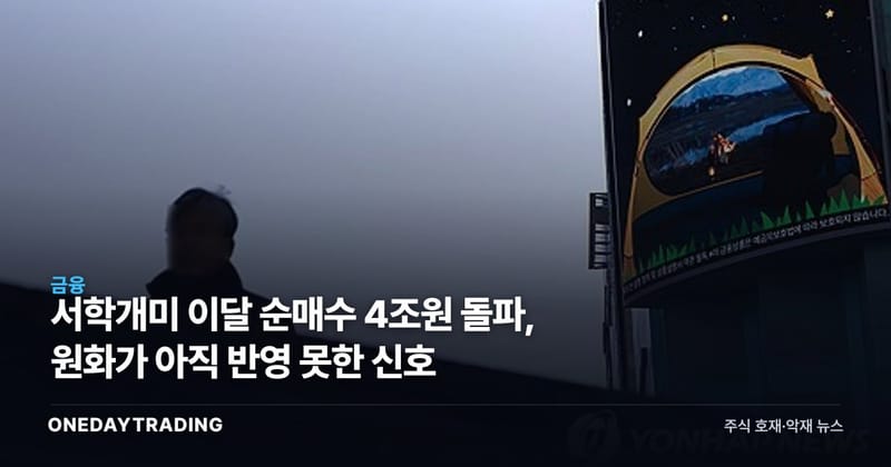 서학개미 이달 순매수 4조원 돌파, 원화가 아직 반영 못한 신호