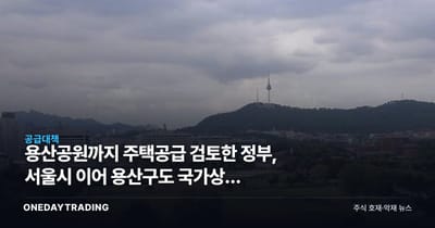 용산공원까지 주택공급 검토한 정부, 서울시 이어 용산구도 국가상징 내세워 반대