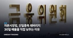 자본시장법, 단일종목 레버리지 30일 배율을 직접 낮추는 이유