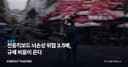 전동킥보드 뇌손상 위험 3.5배, 규제 비용이 온다