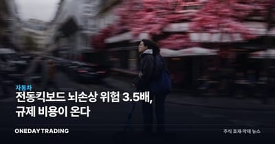 전동킥보드 뇌손상 위험 3.5배, 규제 비용이 온다