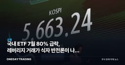 국내 ETF 7월 80% 급락, 레버리지 거래가 식자 반전론이 나온 이유