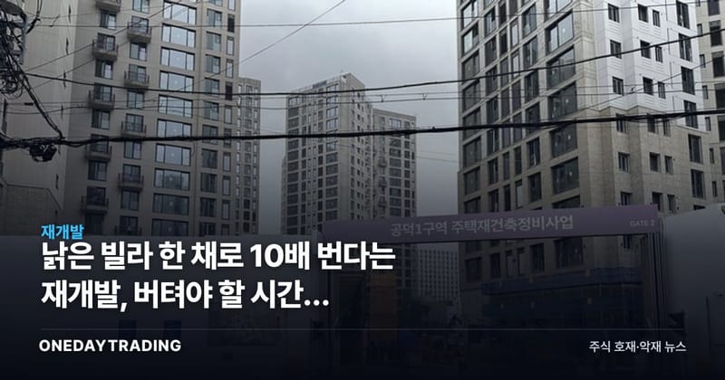 낡은 빌라 한 채로 10배 번다는 재개발, 버텨야 할 시간은 8~10년