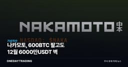 나카모토, 600BTC 팔고도 12월 6000만USDT 벽