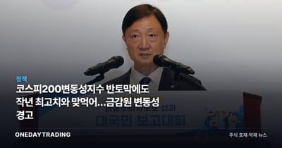 코스피200변동성지수 반토막에도 작년 최고치와 맞먹어…금감원 변동성 경고