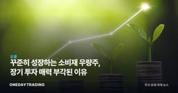 꾸준히 성장하는 소비재 우량주, 장기 투자 매력 부각된 이유