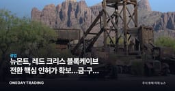 뉴몬트, 레드 크리스 블록케이브 전환 핵심 인허가 확보…금·구리 동시 수혜