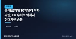 中 튀르키예 10억달러 투자 파탄, EU 우회로 막히자 현대차엔 숨통