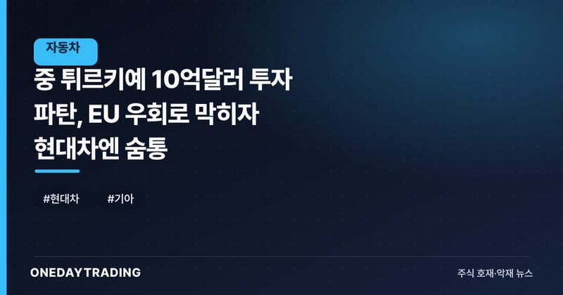 中 튀르키예 10억달러 투자 파탄, EU 우회로 막히자 현대차엔 숨통