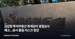 금감원 투자부동산 회계감리 중점심사 예고…공시 품질 리스크 점검