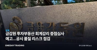 금감원 투자부동산 회계감리 중점심사 예고…공시 품질 리스크 점검