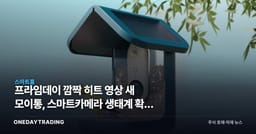 프라임데이 깜짝 히트 영상 새 모이통, 스마트카메라 생태계 확장 신호