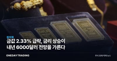 금값 2.33% 급락, 금리 상승이 내년 6000달러 전망을 가른다
