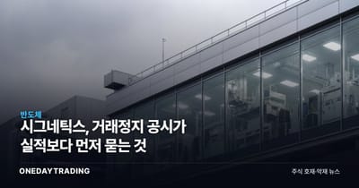 시그네틱스, 거래정지 공시가 실적보다 먼저 묻는 것