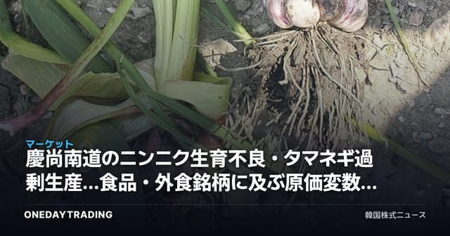 慶尚南道のニンニク生育不良・タマネギ過剰生産…食品・外食銘柄に及ぶ原価変数を点検