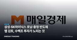 삼성·SK하이닉스 호남·충청 반도체 팹 검토, 수백조 투자가 노리는 것