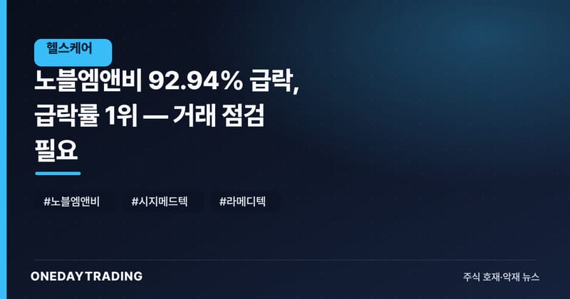 노블엠앤비 92.94% 급락, 급락률 1위 — 거래 점검 필요