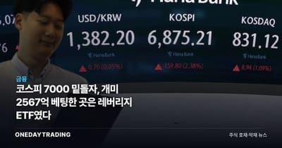 코스피 7000 밑돌자, 개미 2567억 베팅한 곳은 레버리지 ETF였다