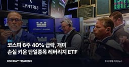 코스피 6주 40% 급락, 개미 손실 키운 단일종목 레버리지 ETF