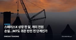 스페이스X 상장 한 달, 개미 전원 손실…M7도 겪은 반전 전 단계인가