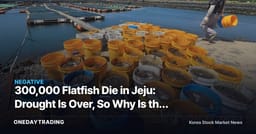300,000 Flatfish Die in Jeju: Drought Is Over, So Why Is the Sea Still So Hot?