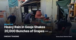 Heavy Rain in Geoje Shakes 20,000 Bunches of Grapes — A Weak Link in Farm-Product Inflation