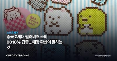 중국 Z세대 펄러비즈 소비 9018% 급증…매장 확산이 말하는 것