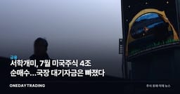 서학개미, 7월 미국주식 4조 순매수…국장 대기자금은 빠졌다