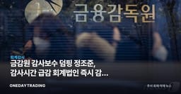 금감원 감사보수 덤핑 정조준, 감사시간 급감 회계법인 즉시 감리 착수