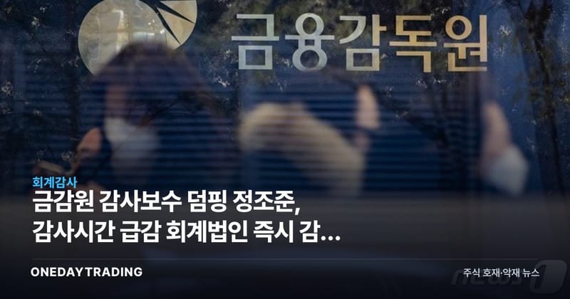 금감원 감사보수 덤핑 정조준, 감사시간 급감 회계법인 즉시 감리 착수