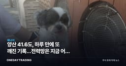 양산 41.6도, 하루 만에 또 깨진 기록…전력망은 지금 어느 국면인가