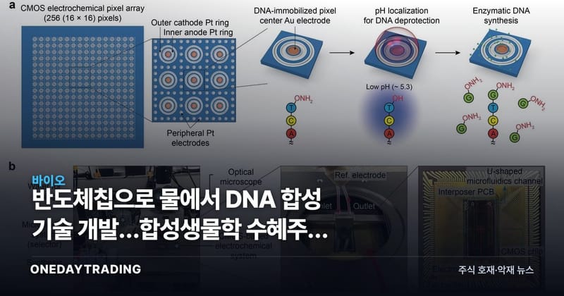 반도체칩으로 물에서 DNA 합성 기술 개발…합성생물학 수혜주와 리스크 점검