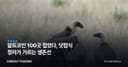 알트코인 100곳 접었다, 닷컴식 정리가 가르는 생존선