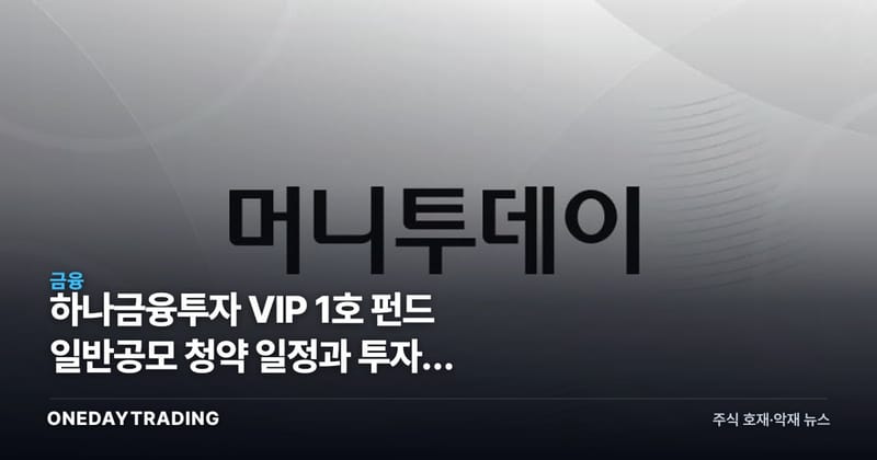 하나금융투자 VIP 1호 펀드 일반공모 청약 일정과 투자자 유의사항