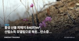 홍성 산불 피해지 840만㎡, 산림소득 모델림으로 복원…탄소중립 실현