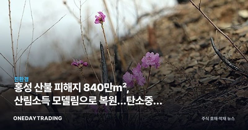 홍성 산불 피해지 840만㎡, 산림소득 모델림으로 복원…탄소중립 실현