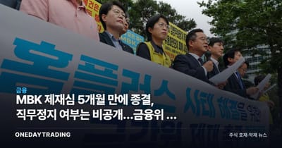 MBK 제재심 5개월 만에 종결, 직무정지 여부는 비공개…금융위 공 넘겼다