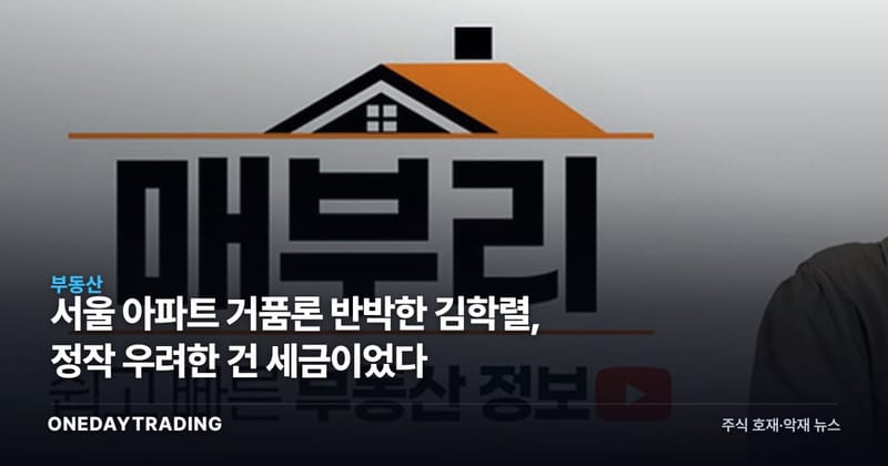 서울 아파트 거품론 반박한 김학렬, 정작 우려한 건 세금이었다