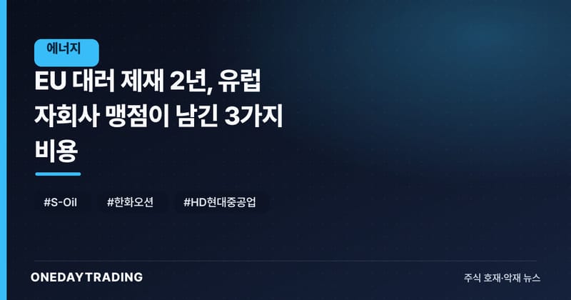EU 대러 제재 2년, 유럽 자회사 맹점이 남긴 3가지 비용